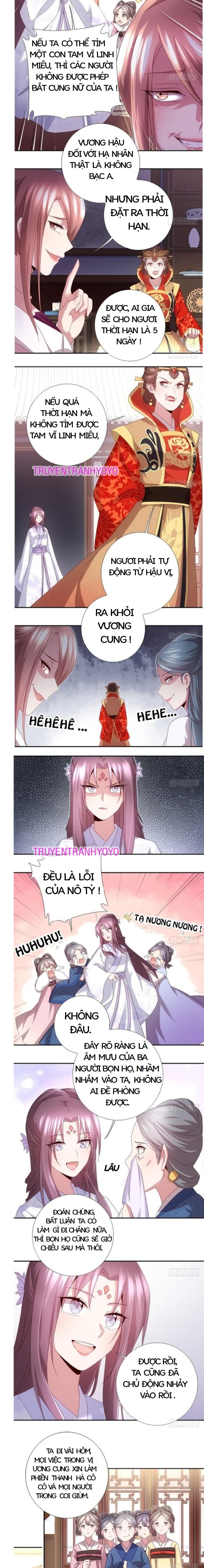 thần trù cuồng hậu chapter 70 3