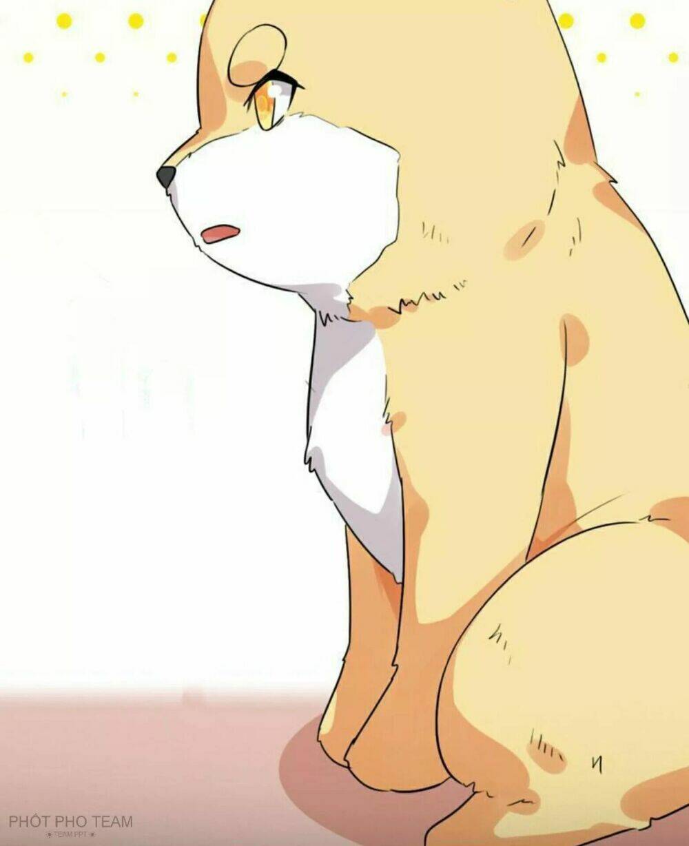 hôm nay lại cũng không thể biến thành người được chapter 6 47