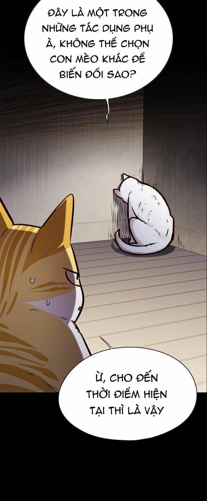 biến thân thành mèo chapter 142 6