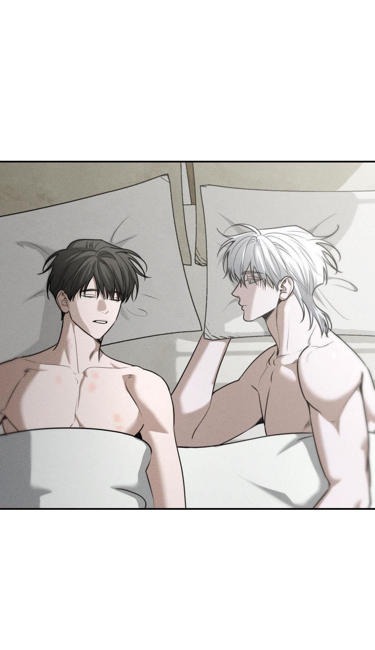 gấu teddy thân yêu chapter 36 38