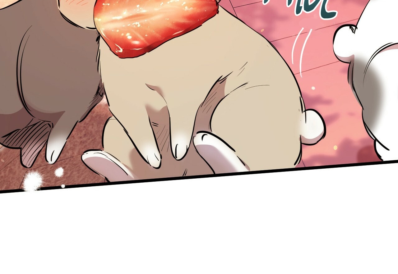 đàn thỏ của habibi chapter 21 25