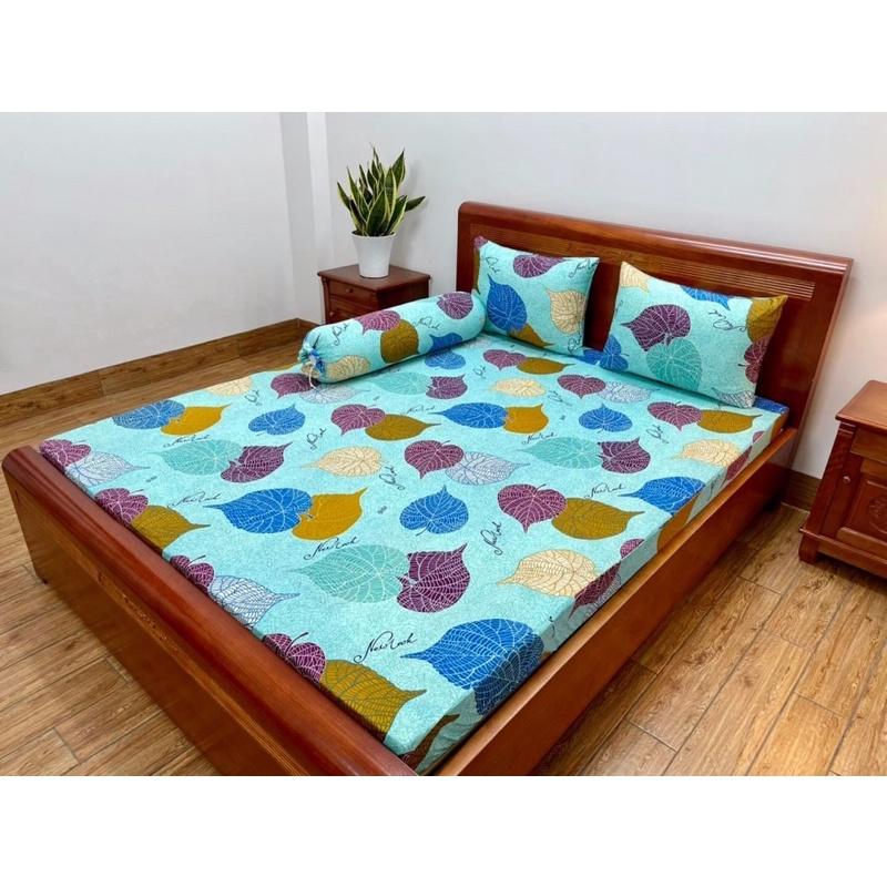 GIÁ SỈ Bộ Ga gối thun lạnh Hàn Quốc xịn -mềm mát giá tốt nhất 1m-1m8x2m