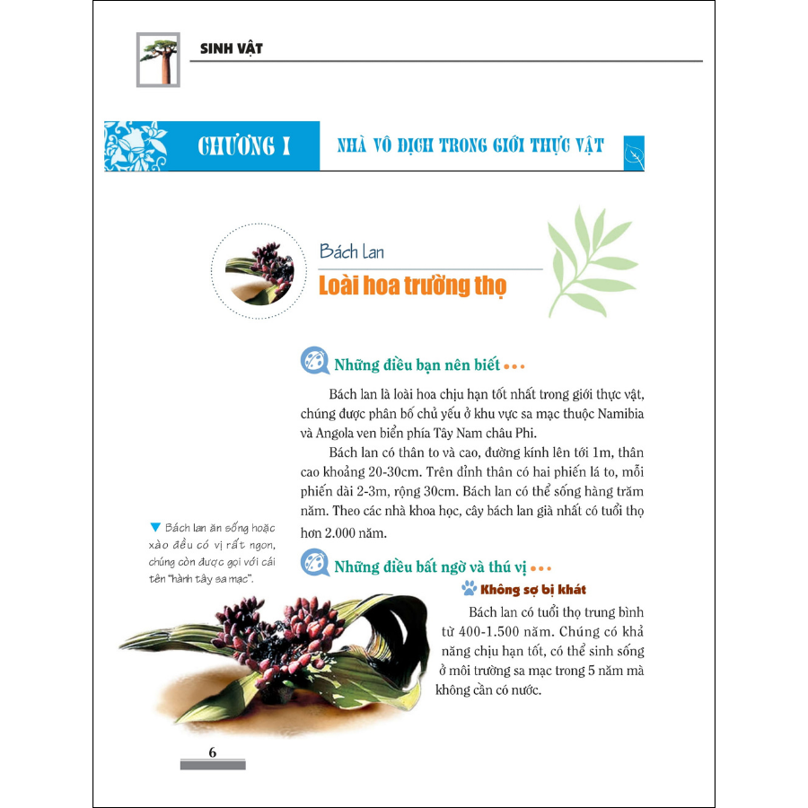 Khám Phá Bí ẩn Thế Giới Tự Nhiên - Dành Cho Học Sinh : Sinh Vật