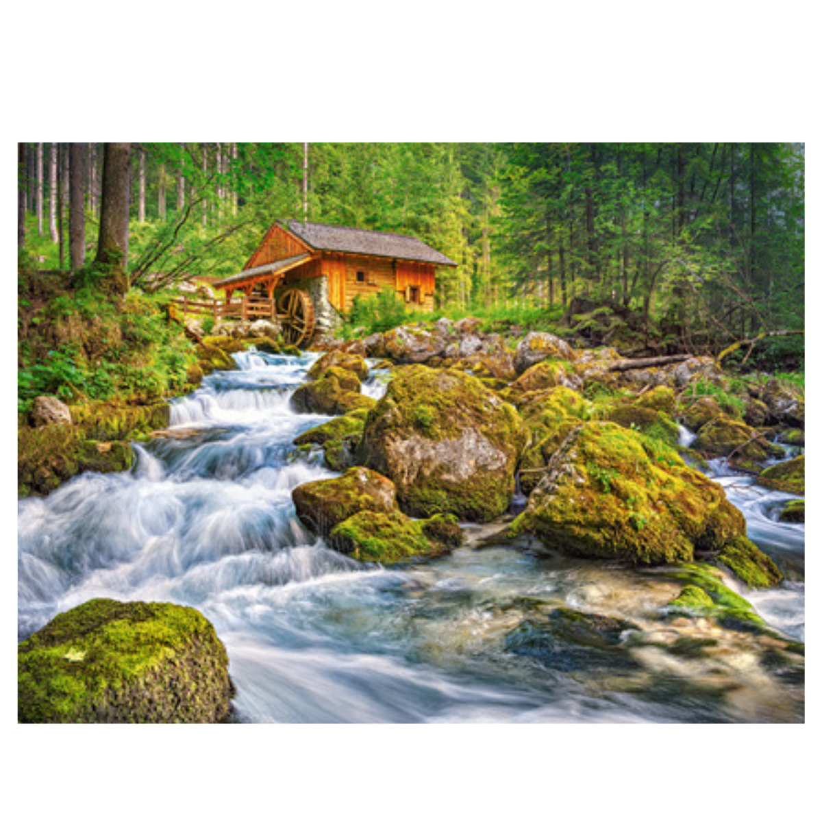 Xếp hình puzzle Watermill 1500 mảnh CASTORLAND C-151783