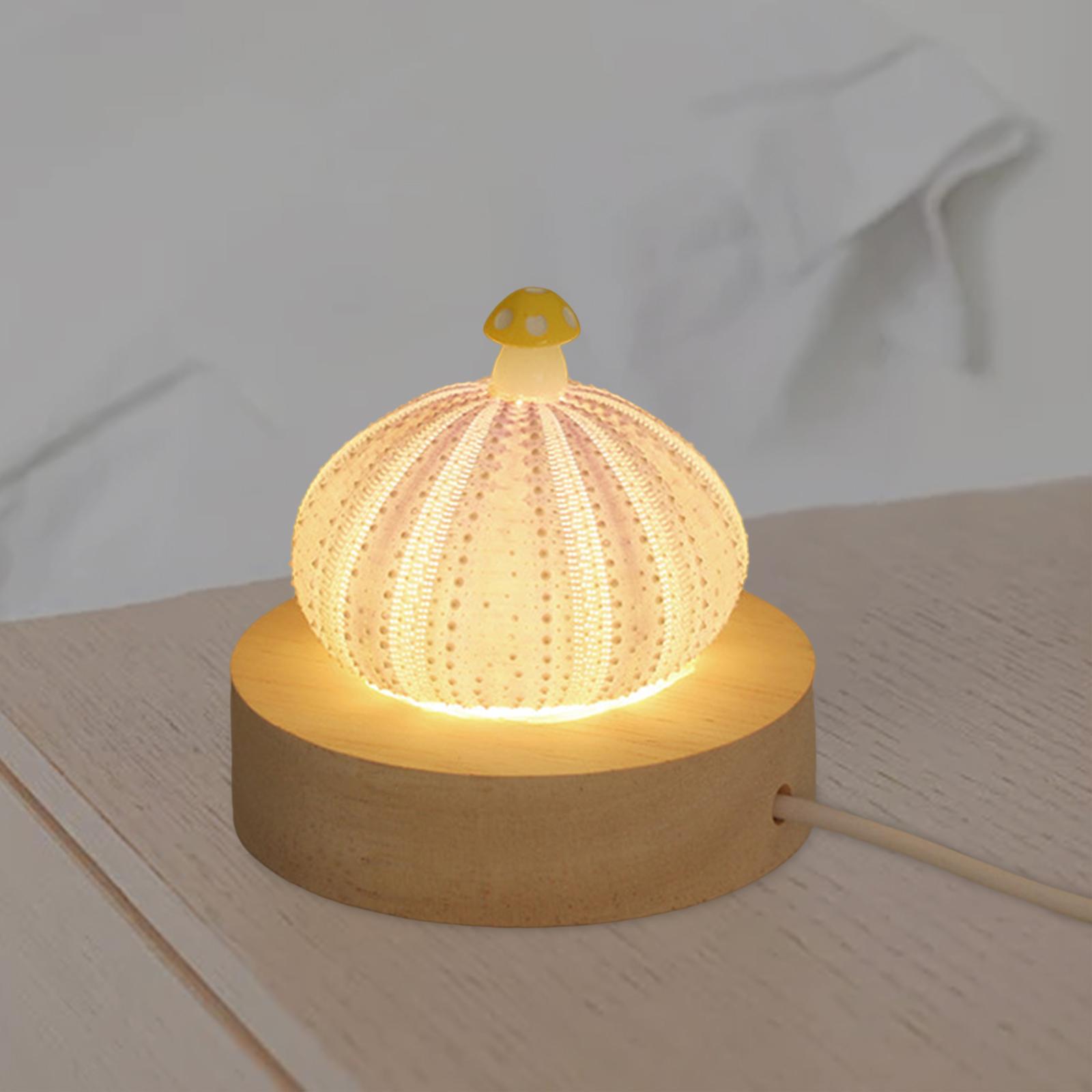 Decorative Table Lights Shell with LED Function Birthday Gift Mini Table Lamp