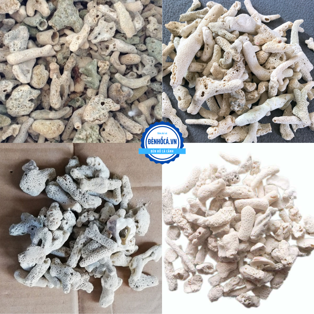 VẬT LIỆU LỌC HỒ CÁ SAN HỘ VỤN 200G