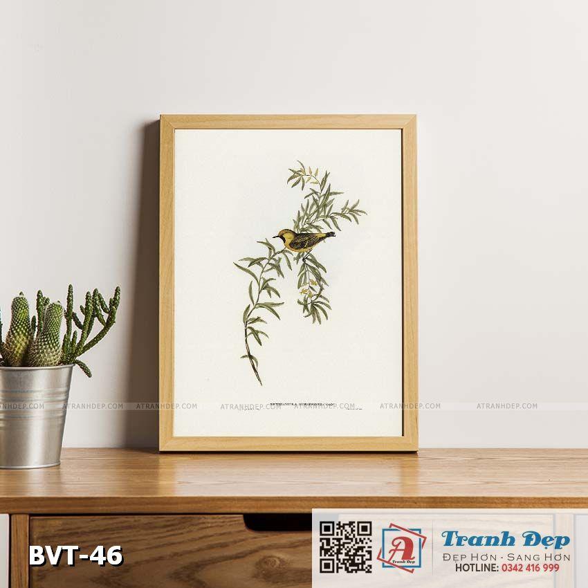 Tranh canvas vintage - Chim ăn mật (Ephthianura aurifrons) - BVT-46