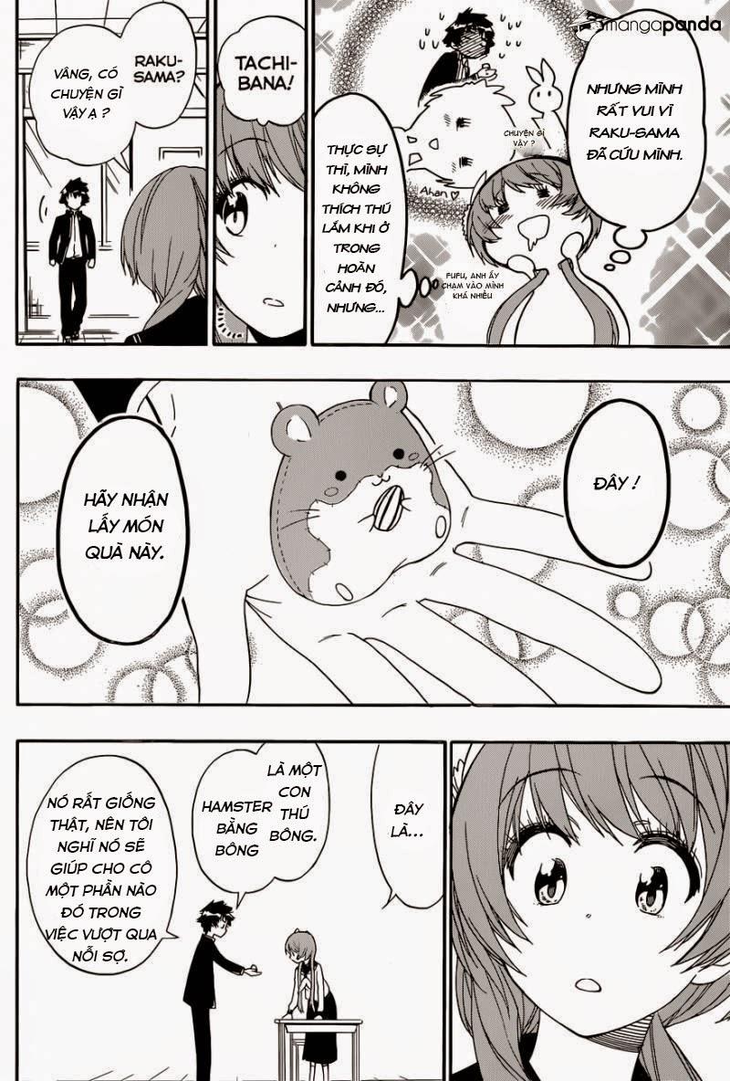 nisekoi - tình yêu giả tạo chapter 142 18