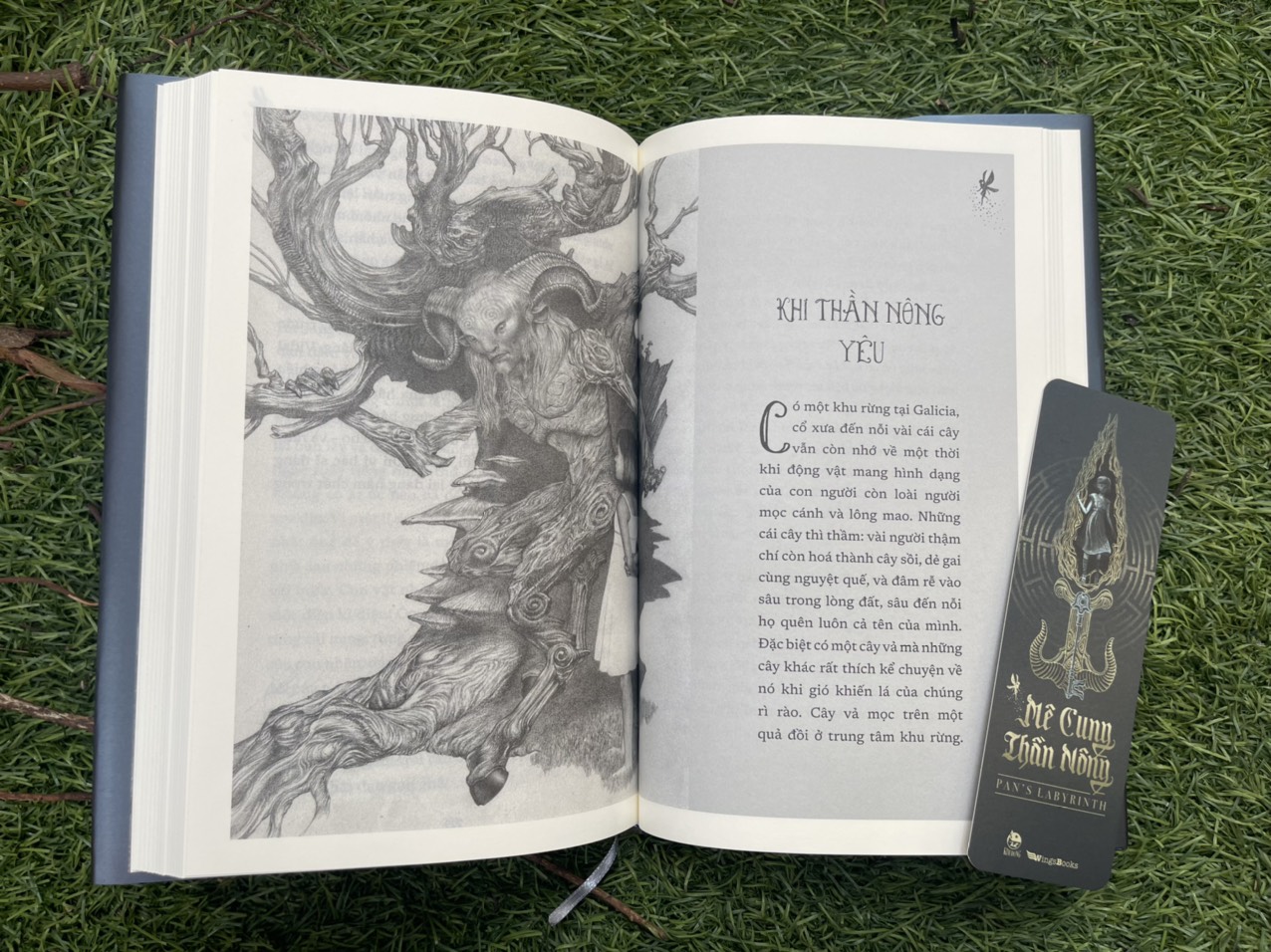 MÊ CUNG THẦN NÔNG – Pan’s Labyrinth – bìa cứng (duy nhất bìa cứng in kèm 04 tranh màu, tặng kèm bookmark) – NXB Kim Đồng