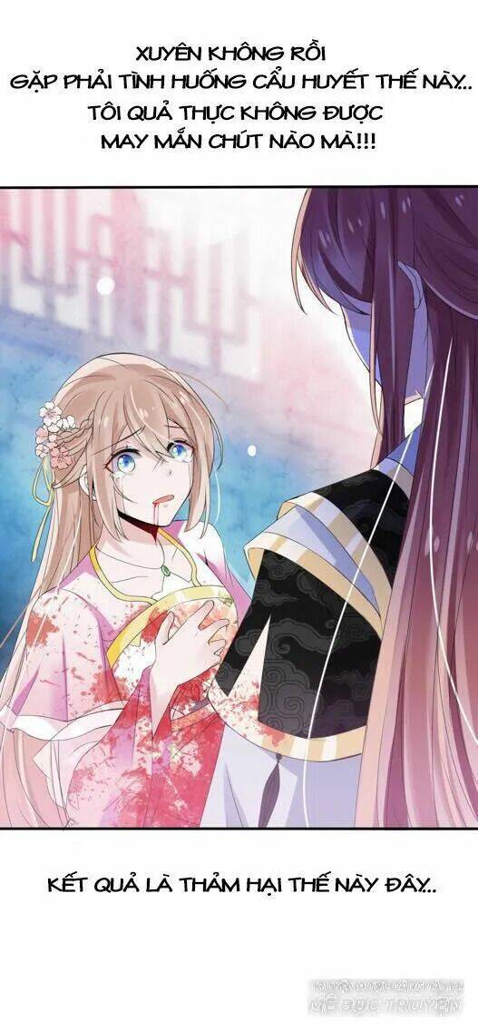 kế hoạch sủng ái của tiểu công chúa chapter 1 6