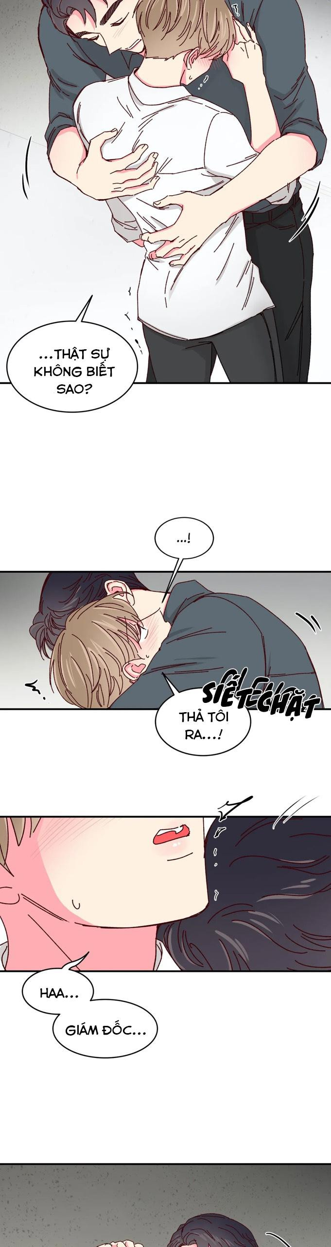 món tráng miệng của sếp tổng chapter 39 25