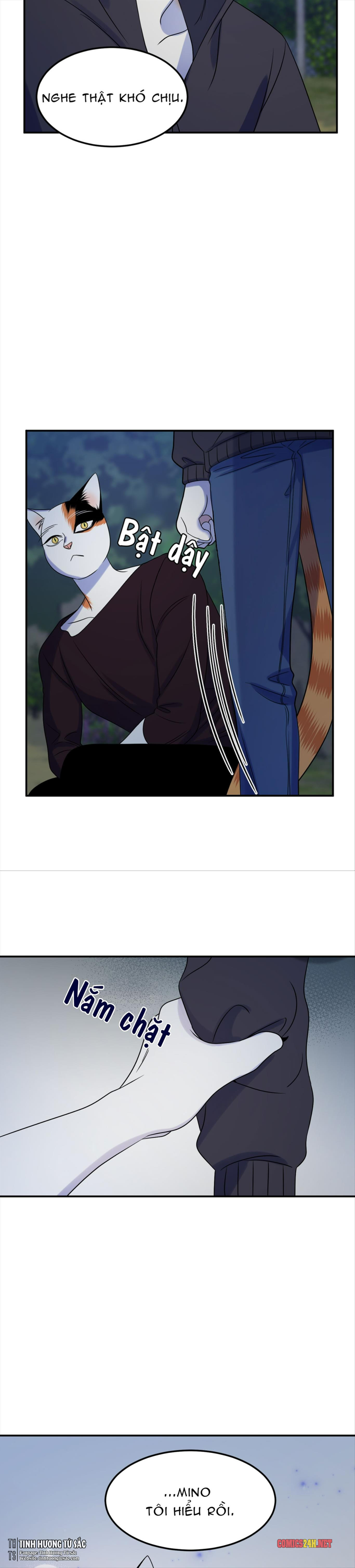 dự án xanh chapter 17 20