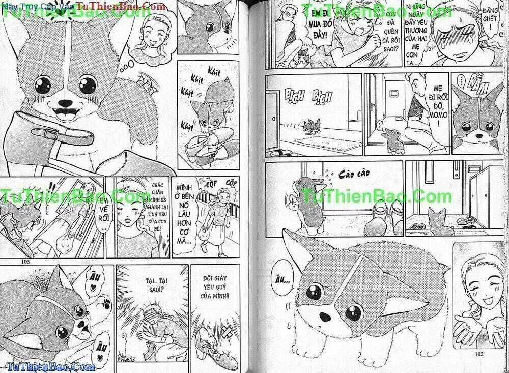 chó con mo mo chapter 2 52