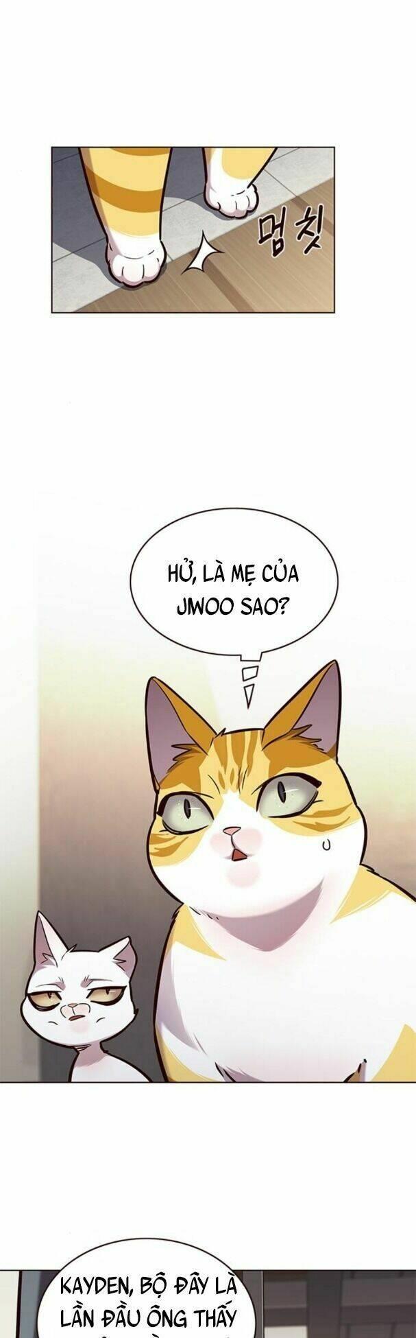 biến thân thành mèo chapter 177 1