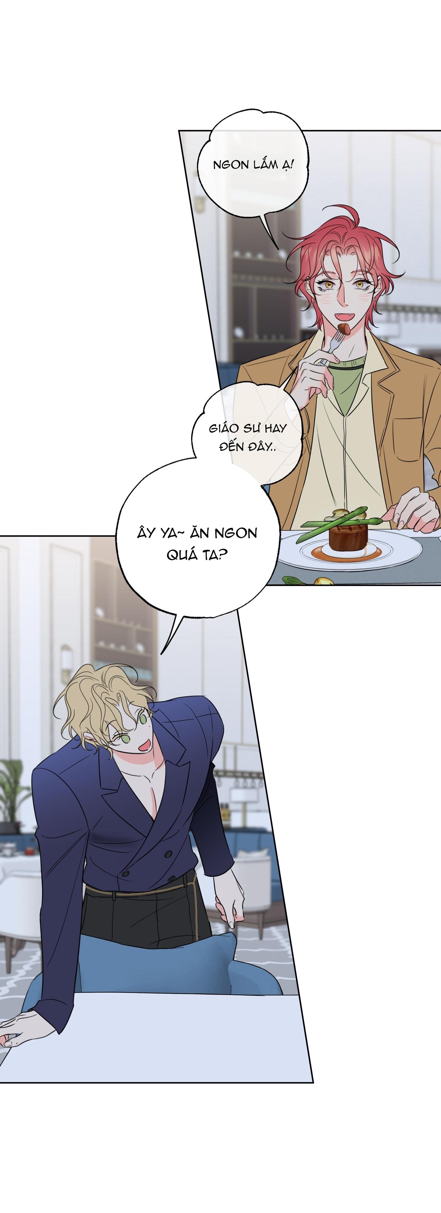 mật ong nhà làm chapter 26 36