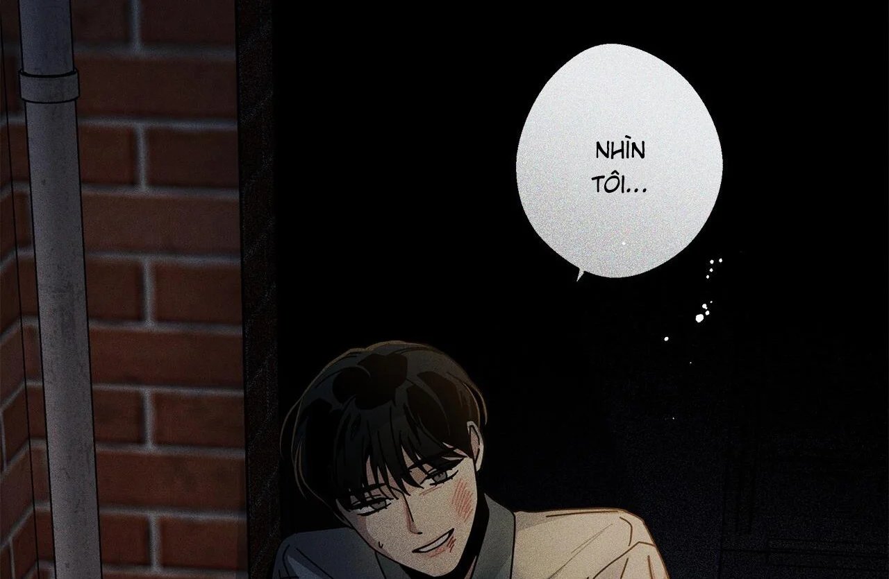 home five chapter 48 204