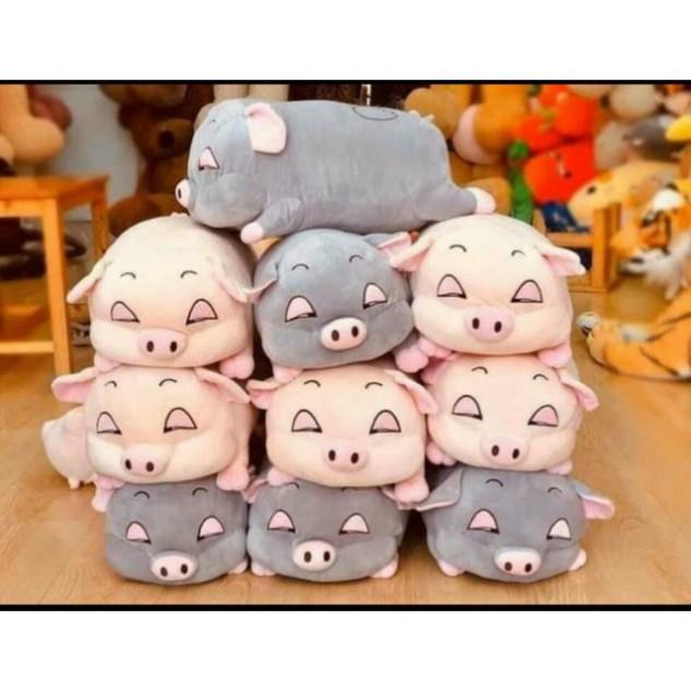 Set Chăn Gối Ôm Hình Lợn Siêu dễ thương