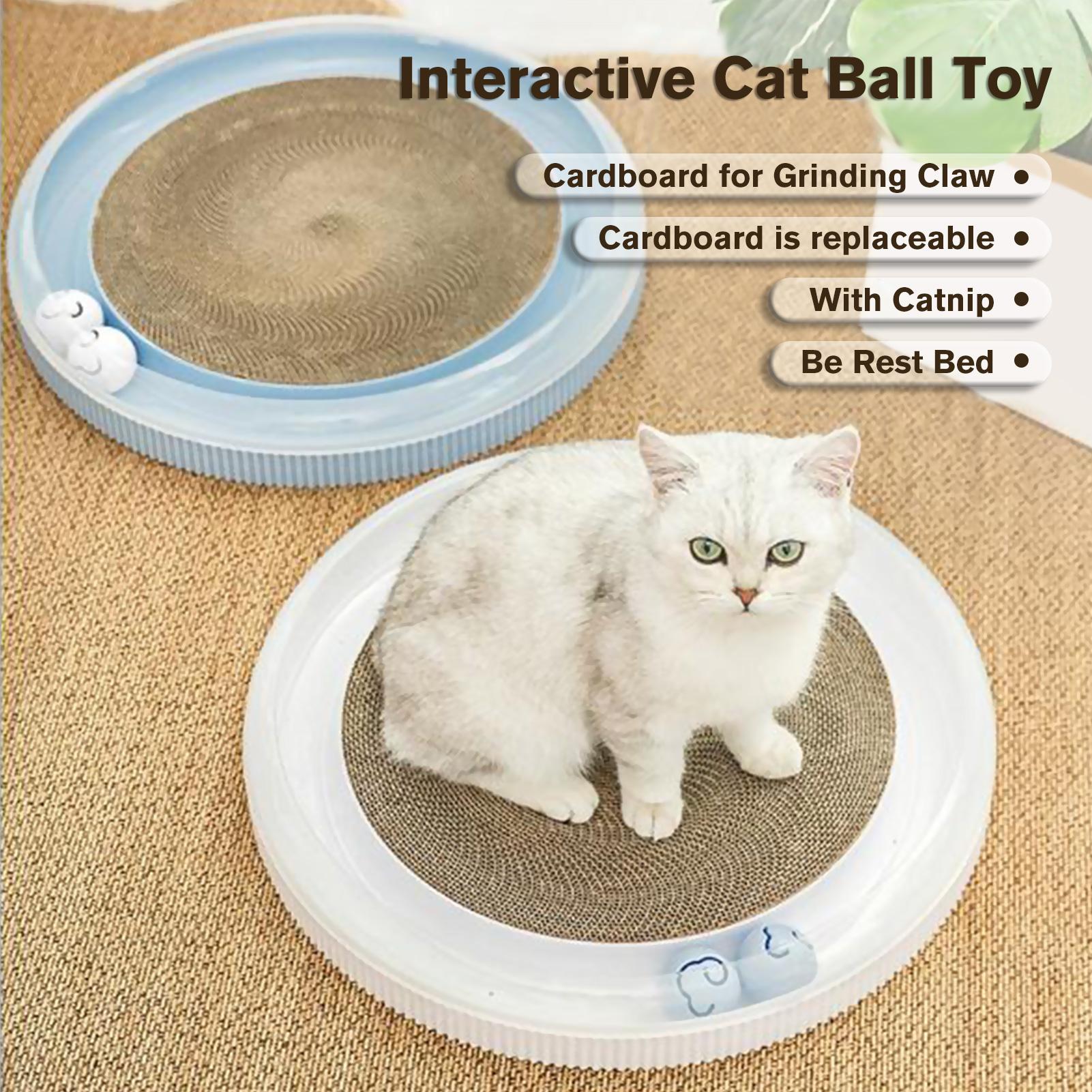 Đồ chơi tương tác vui nhộn cho mèo với 2 quả bóng và bìa cứng để giải trí