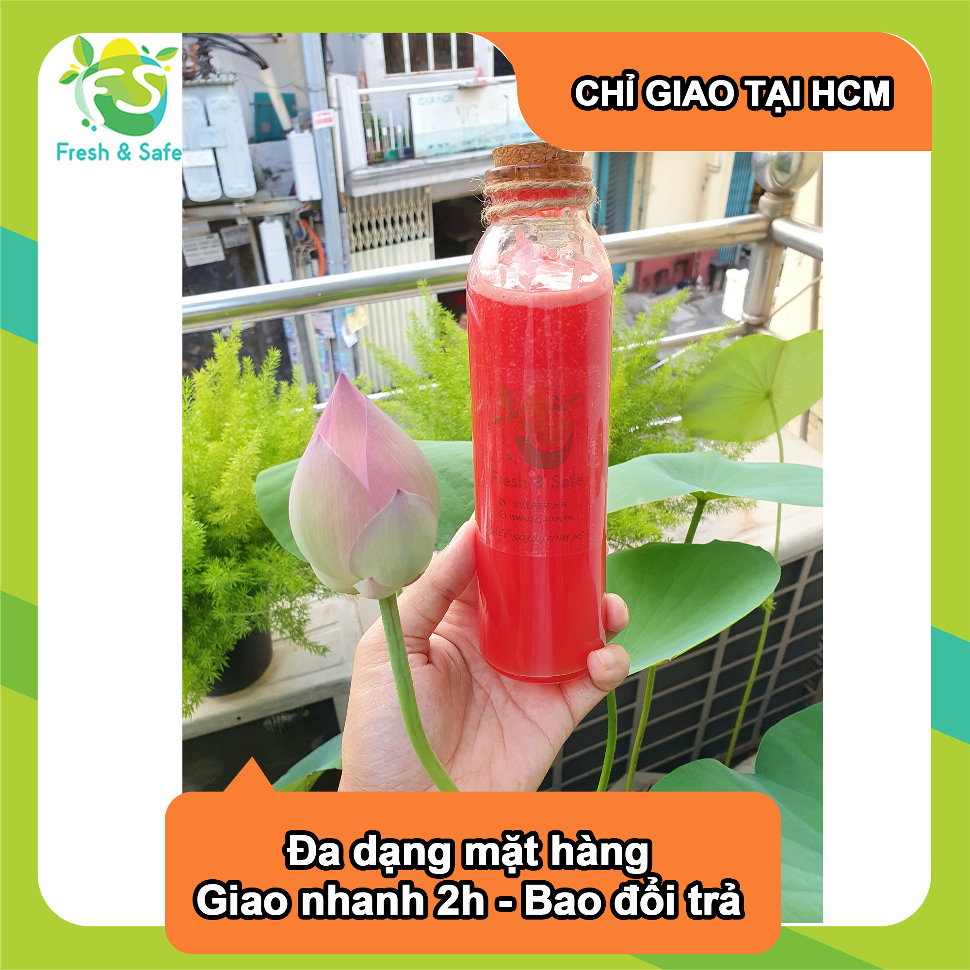 Nước ép Thanh long đỏ - Red Daughter