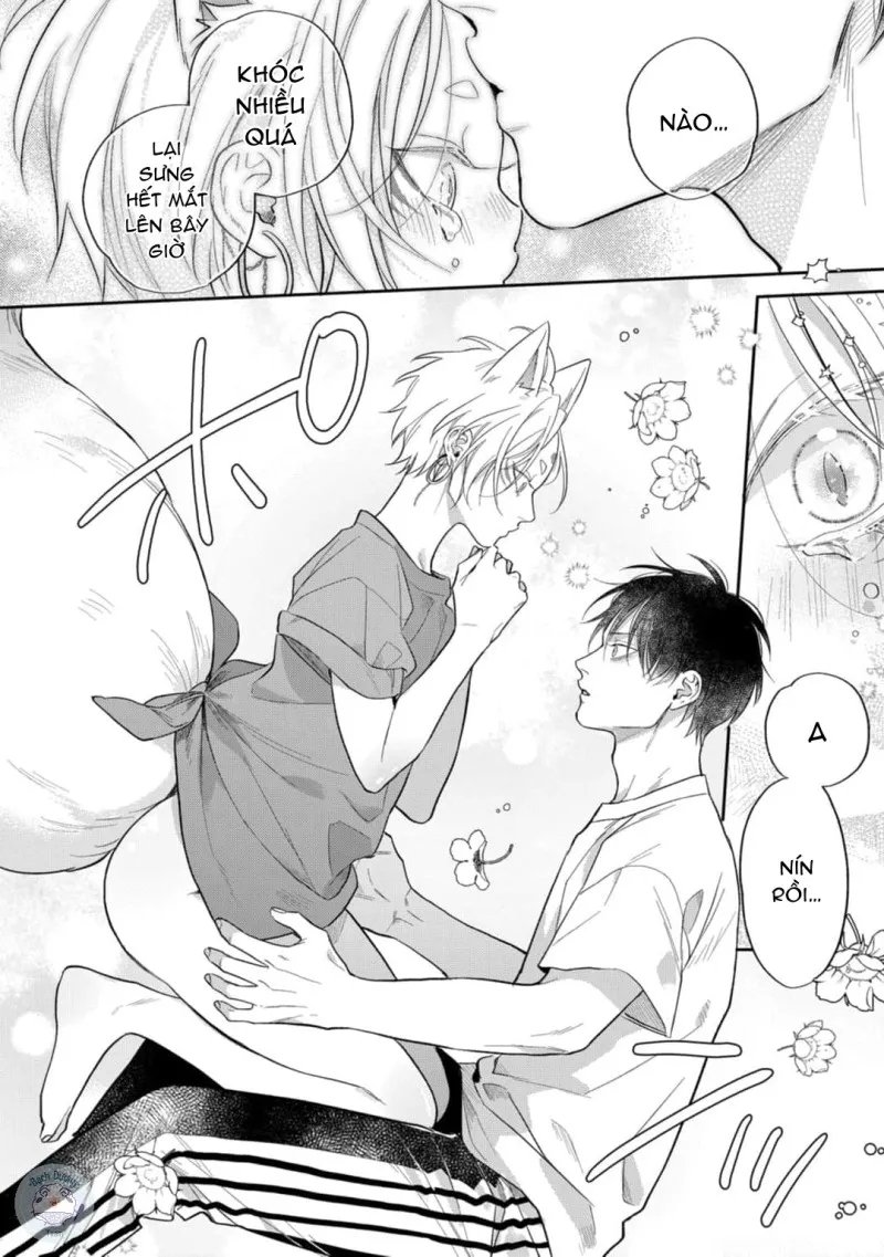 đặc ân của yêu hồ chapter 4 26