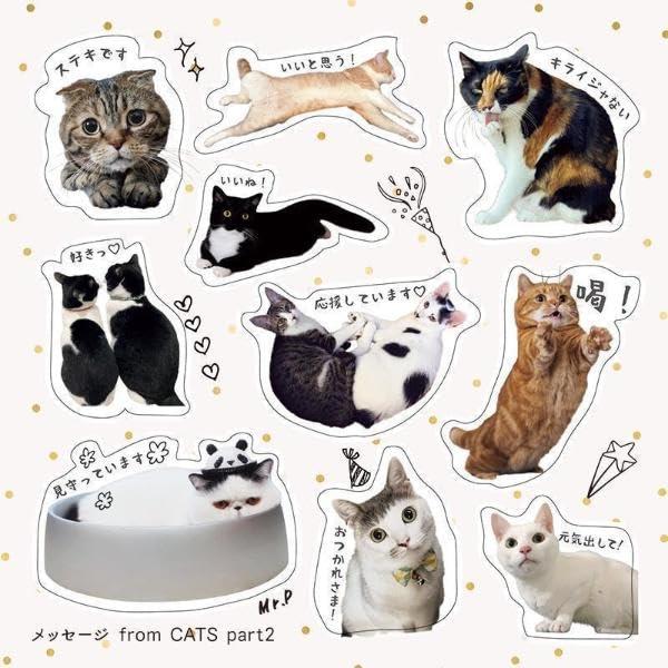 Sách ngoại văn: SNSで人気の有名ねこさんだらけ、応援ワード編! ねこいっぱいシールブック - Neko Ippai Seal Book