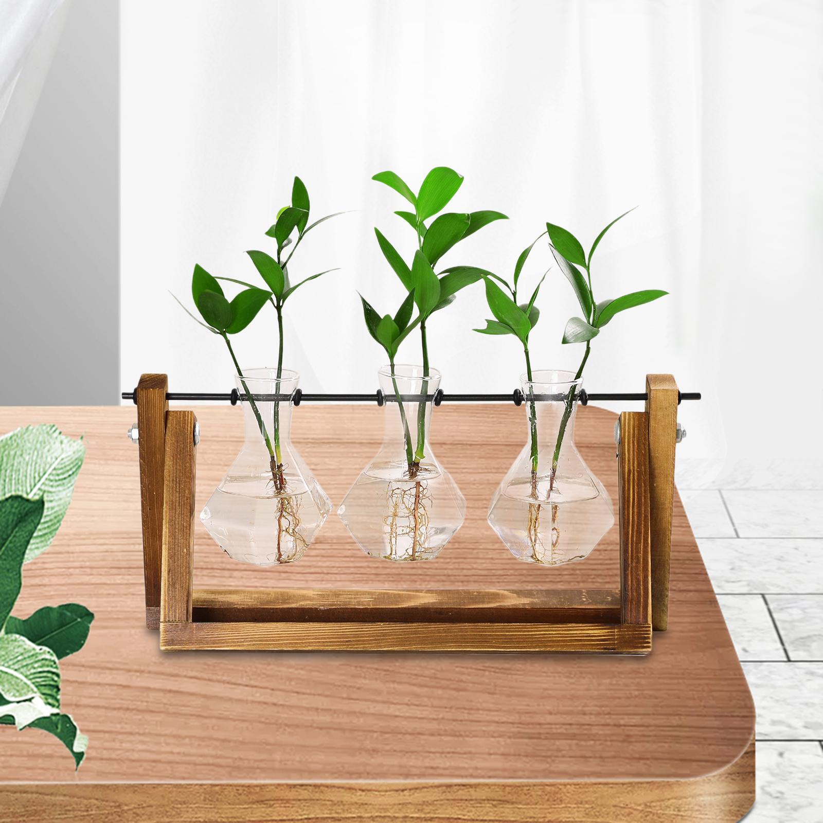 Glass Plant Terrarium Flower Bud Vase Hydroponics Wooden Rack Geometric Shelf