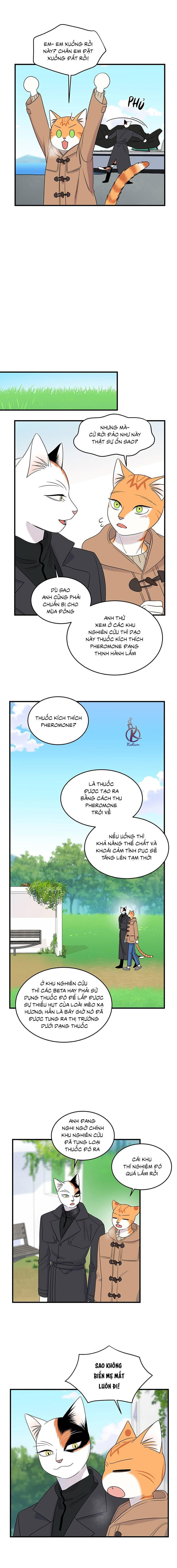dự án xanh chapter 53 7