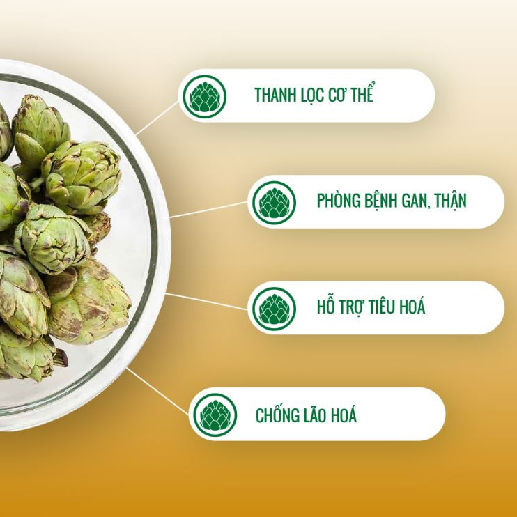 Trà atiso Ladophar gói 100 túi lọc artichoke Actiso Đà Lạt giúp mát gan thông mật lợi tiểu tặng 1 túi trà