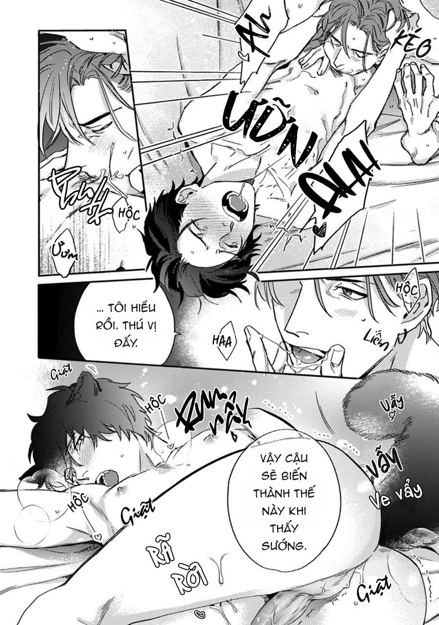 sự rung động thuần khiết chapter 6 21