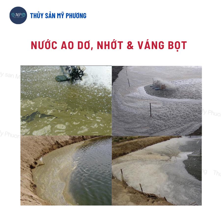 Xử lý nước ao bị bọt đục lợn cợn kim loại nặng phát sáng Clear Pon trước thả giống sạch mang tôm thẻ cá lươn ếch ốc baba
