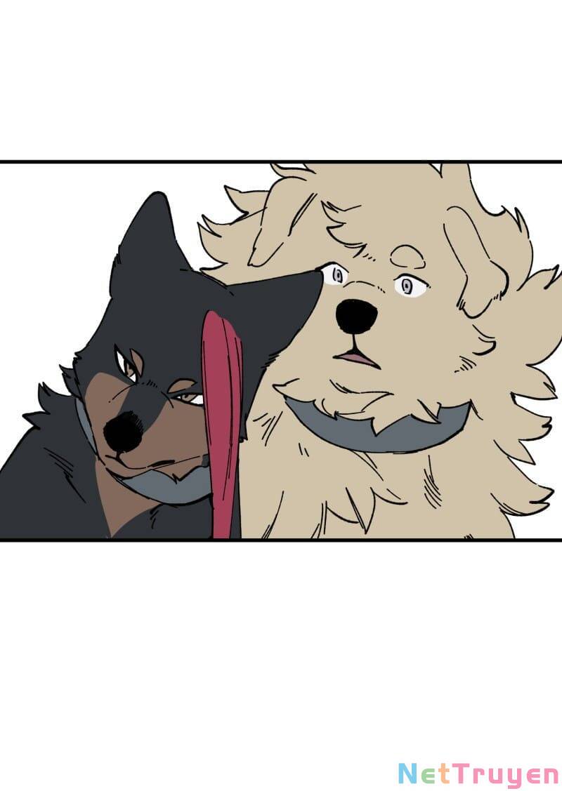 lumine - cội nguồn ánh sáng chapter 150 2