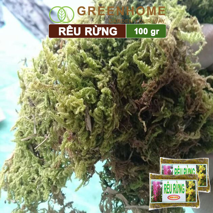 Rêu rừng, bao 100gr, đã qua xử lý, giữ ẩm tốt, chuyên phong lan, kiểng lá | Greenhome