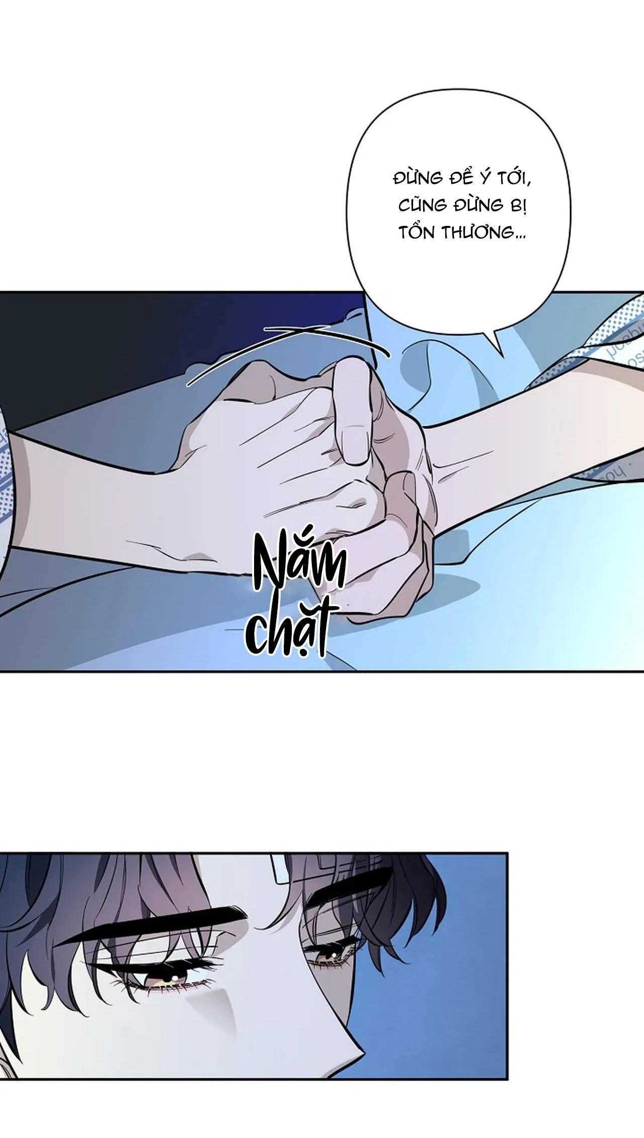 đêm dịu dàng chapter 70 12