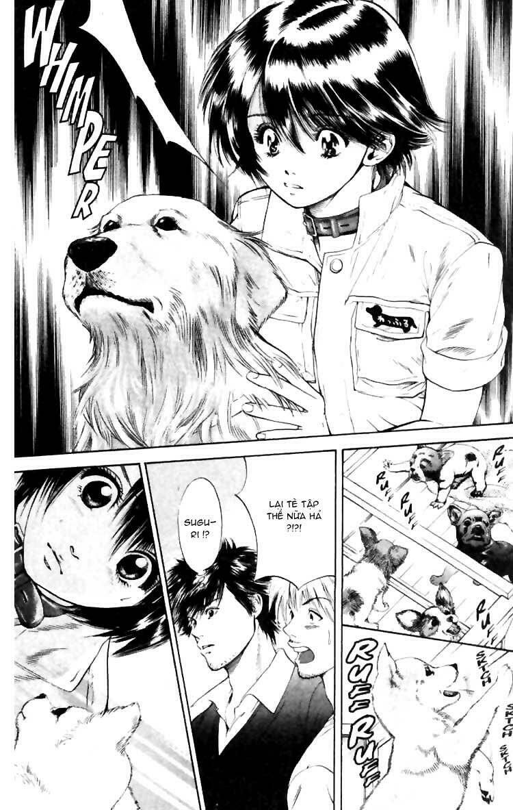 cô nàng yêu chó chapter 5 19