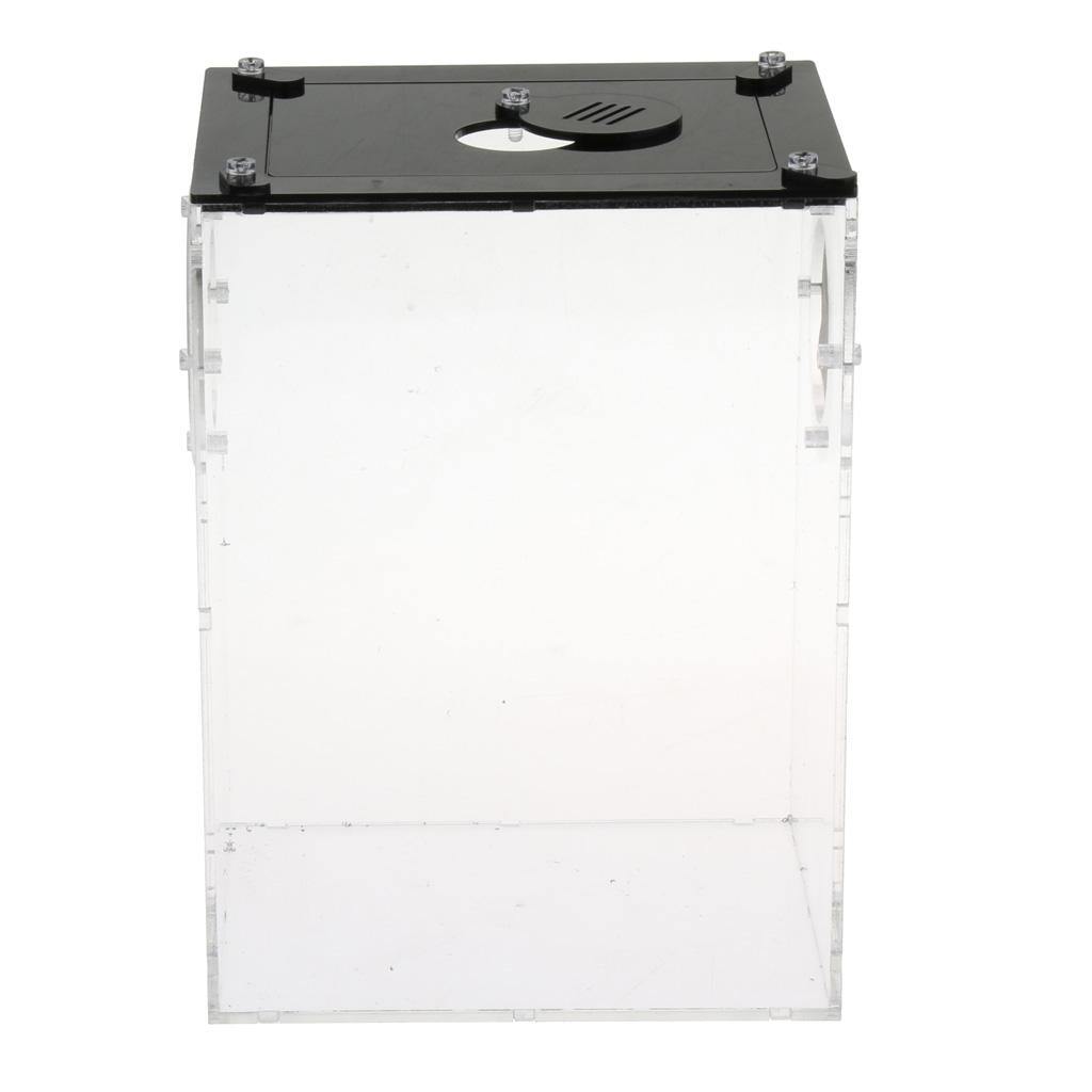 2pcs Reptile Feeding Box Transparent Cage Hatching Container For Lizards
