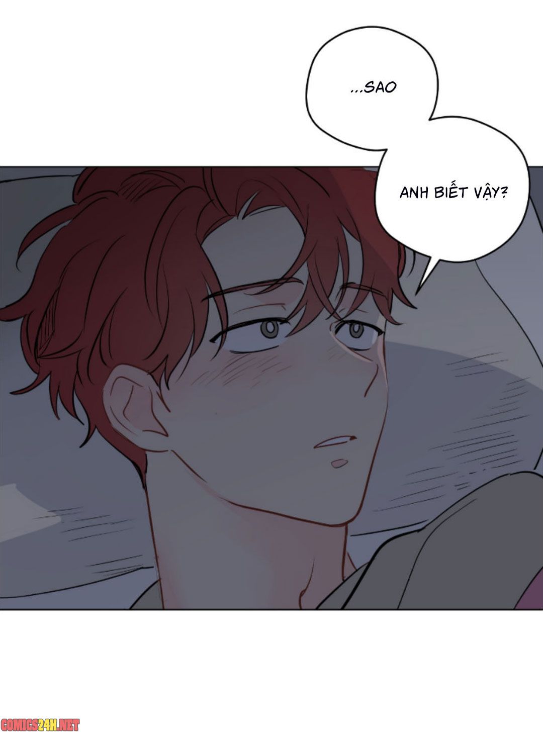 chỉ là giấc mơ thôi phải không? chapter 48 46