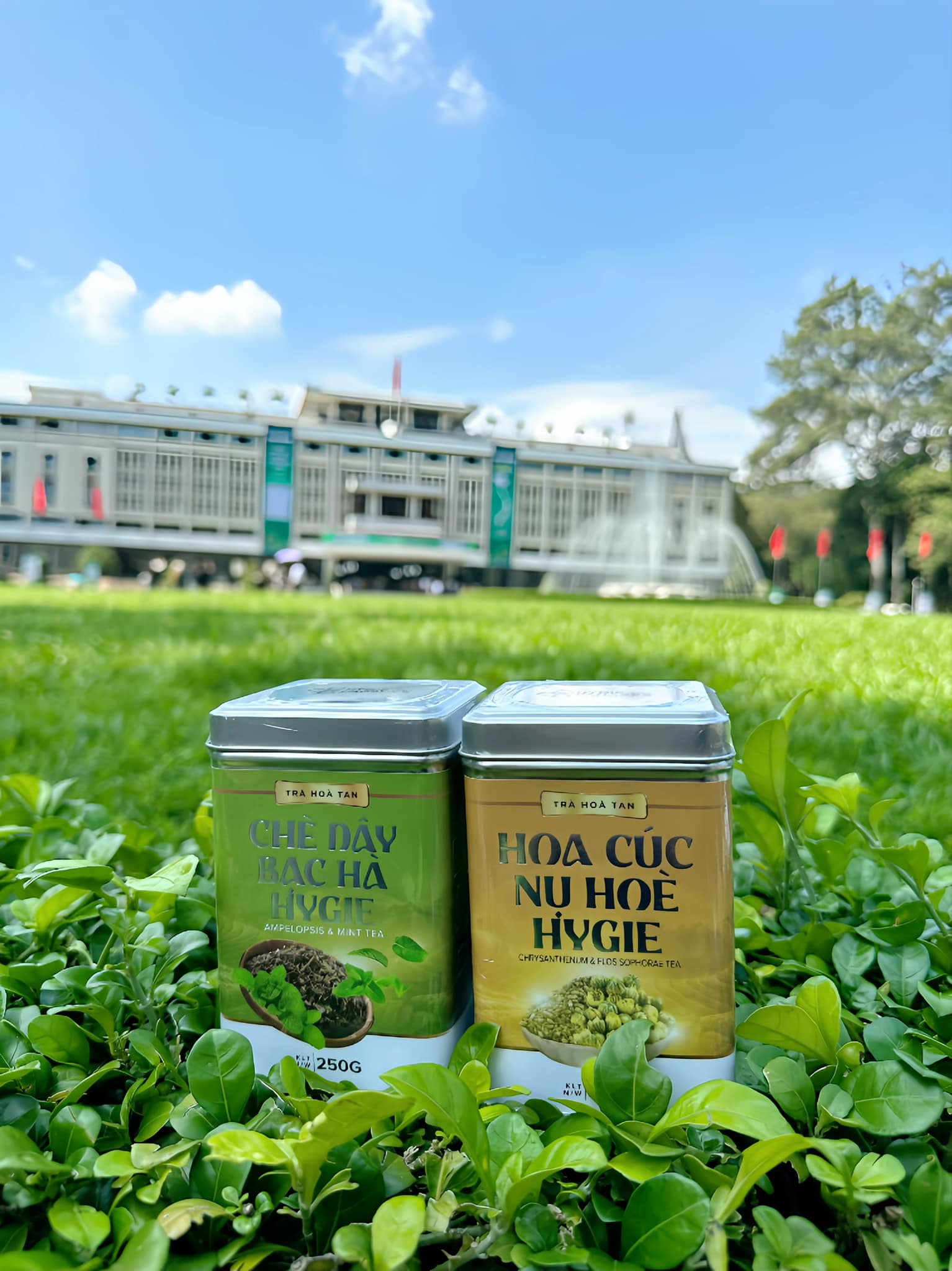 Chè Dây Bạc Hà Hygie - Hộp 250gr 50 ly. Giải pháp khắc phục và phòng ngừa trào ngược dạ dày, dạ dày HP