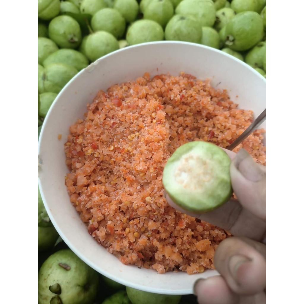Cây giống Ổi Găng Đông Dư