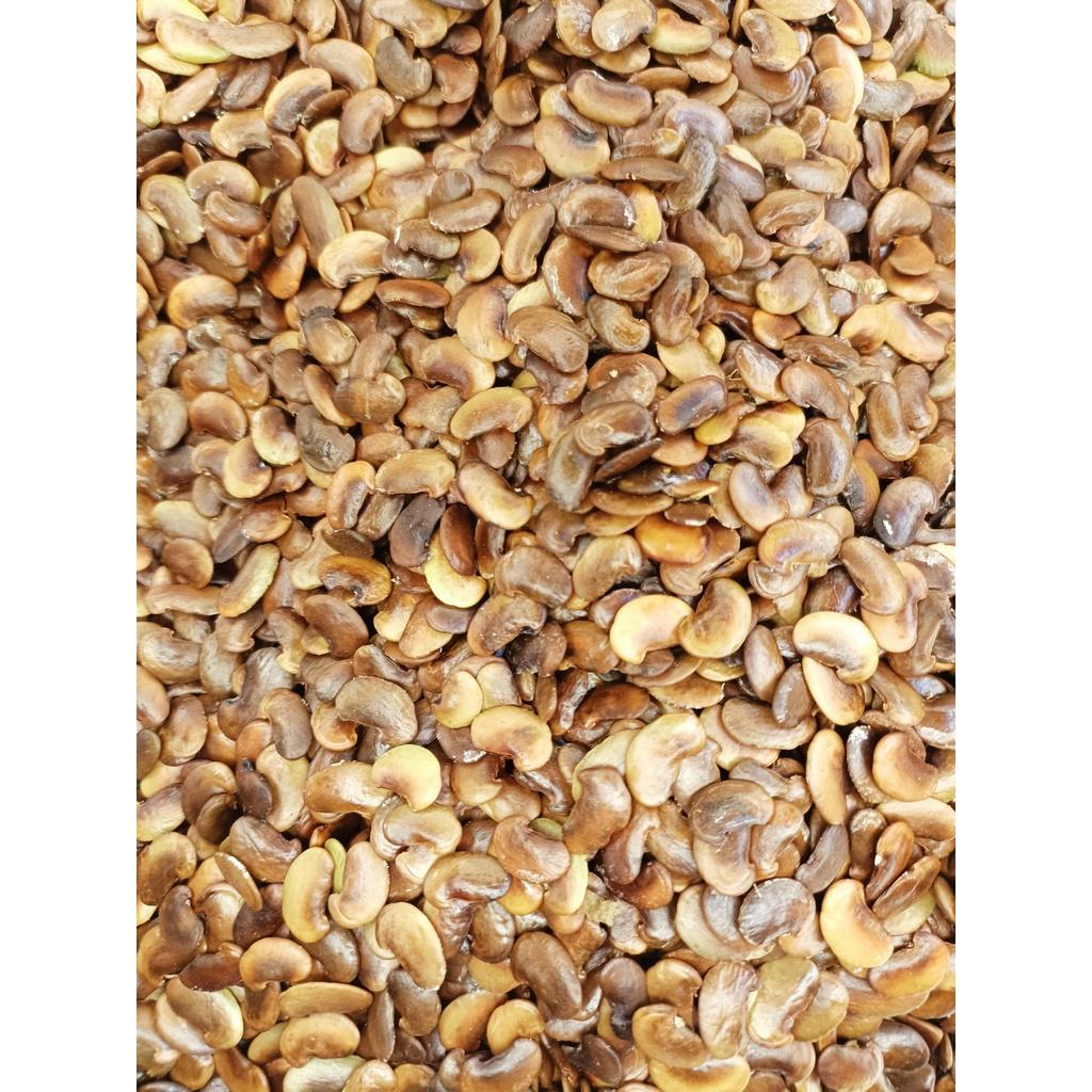 500 gram hạt giống cây Sưa Đỏ, Huỳnh Đàn