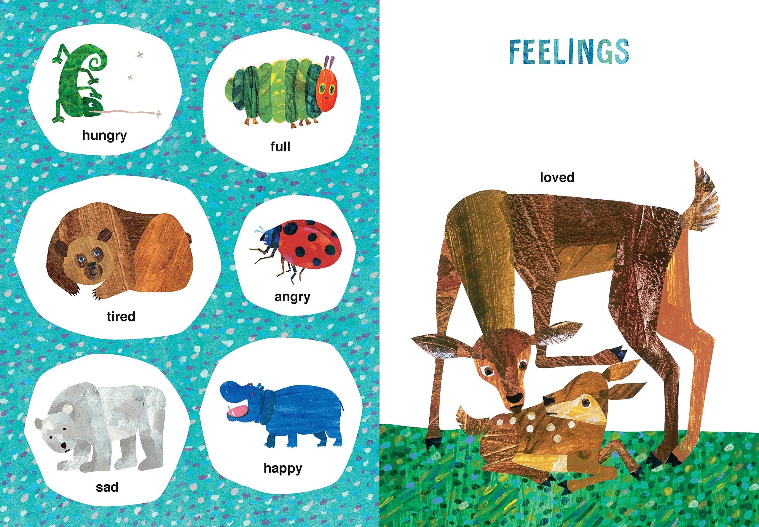 Eric Carle A Book of Things