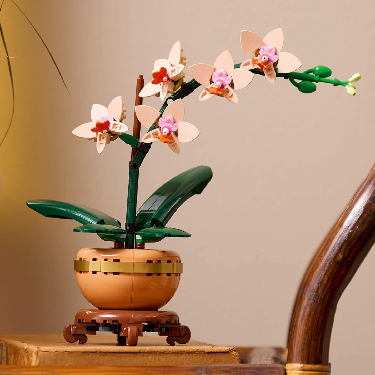 LEGO BOTANICALS 10343 Đồ Chơi Lắp Ráp Hoa Lan Nhỏ (274 Chi Tiết)