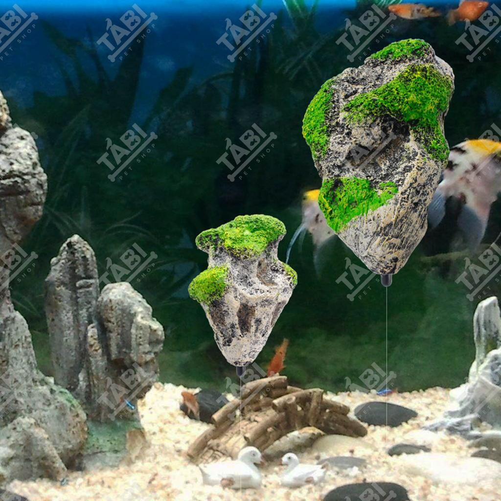 Đá Nổi Trang Trí Hồ Cá Thuỷ Sinh - Đá Bay Làm Tiểu Cảnh Bể Cá Cảnh
