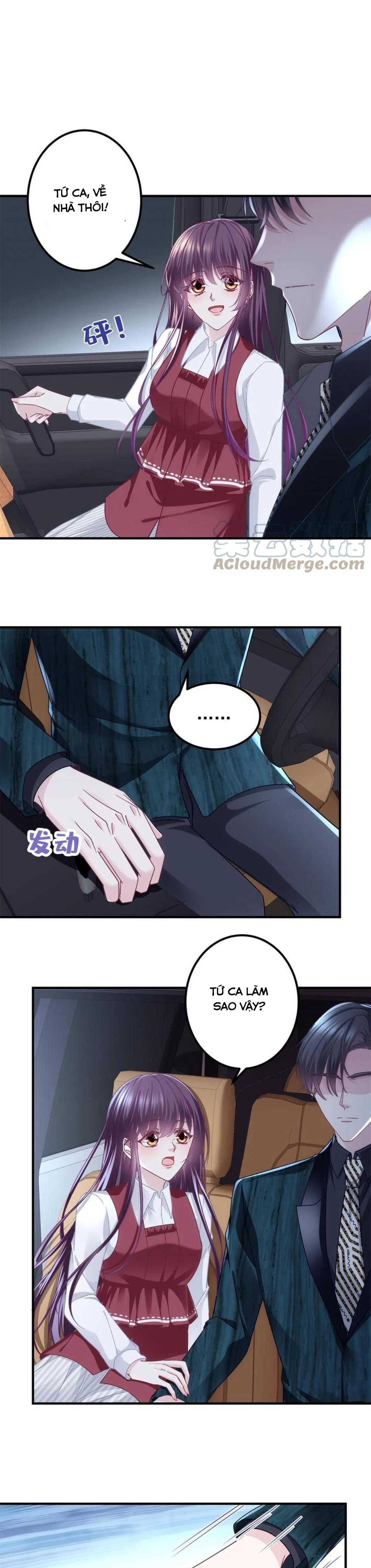 trọng sinh về chinh phục tổng tài chapter 96 18