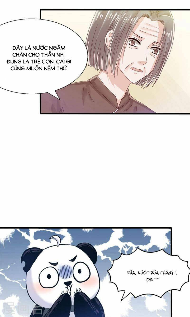 tôi bị gấu trúc nhìn trúng rồi chapter 23 6