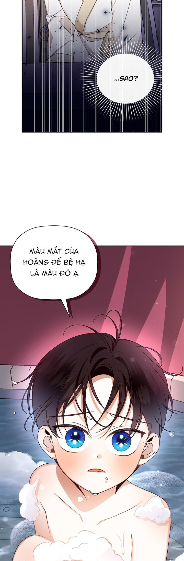 cách che giấu đứa con của hoàng đế chapter 20 2