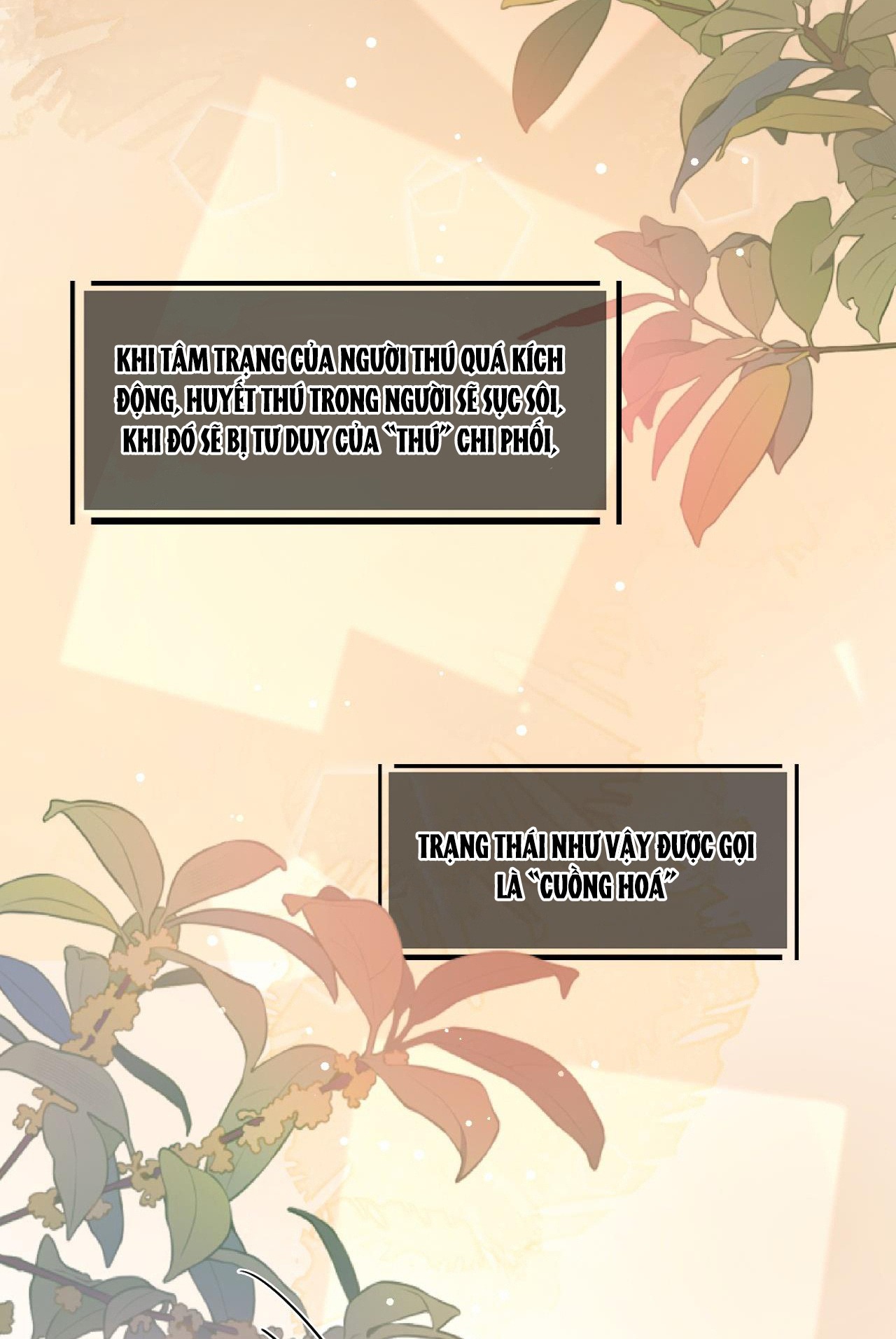 tiểu thư sói và em gái hồ ly của cô ấy chapter 1 17