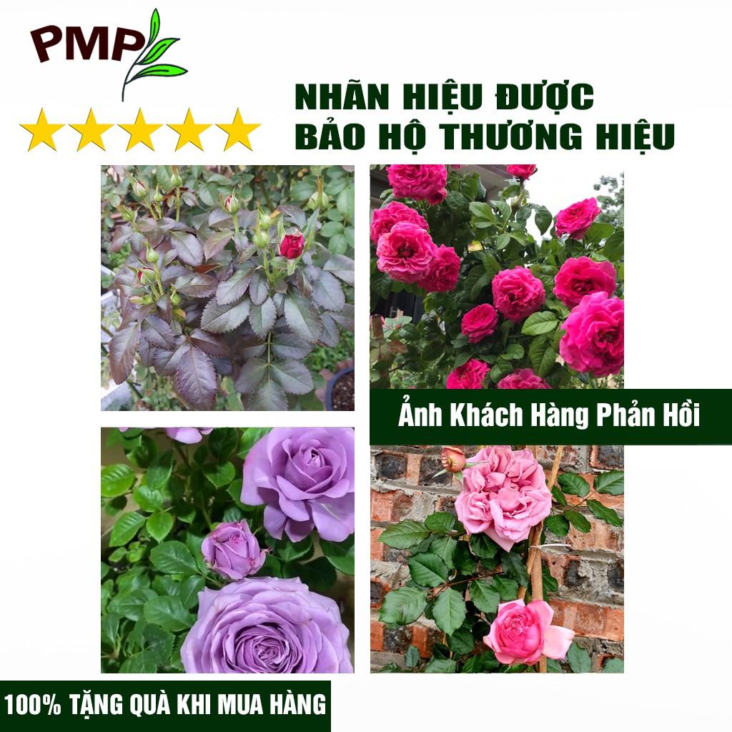 Combo Phân Hữu Cơ Cao Cấp Super Probio &amp; Giá Thể Bã Mía Cho Hoa Hồng, Rau Sạch, Cây Cảnh