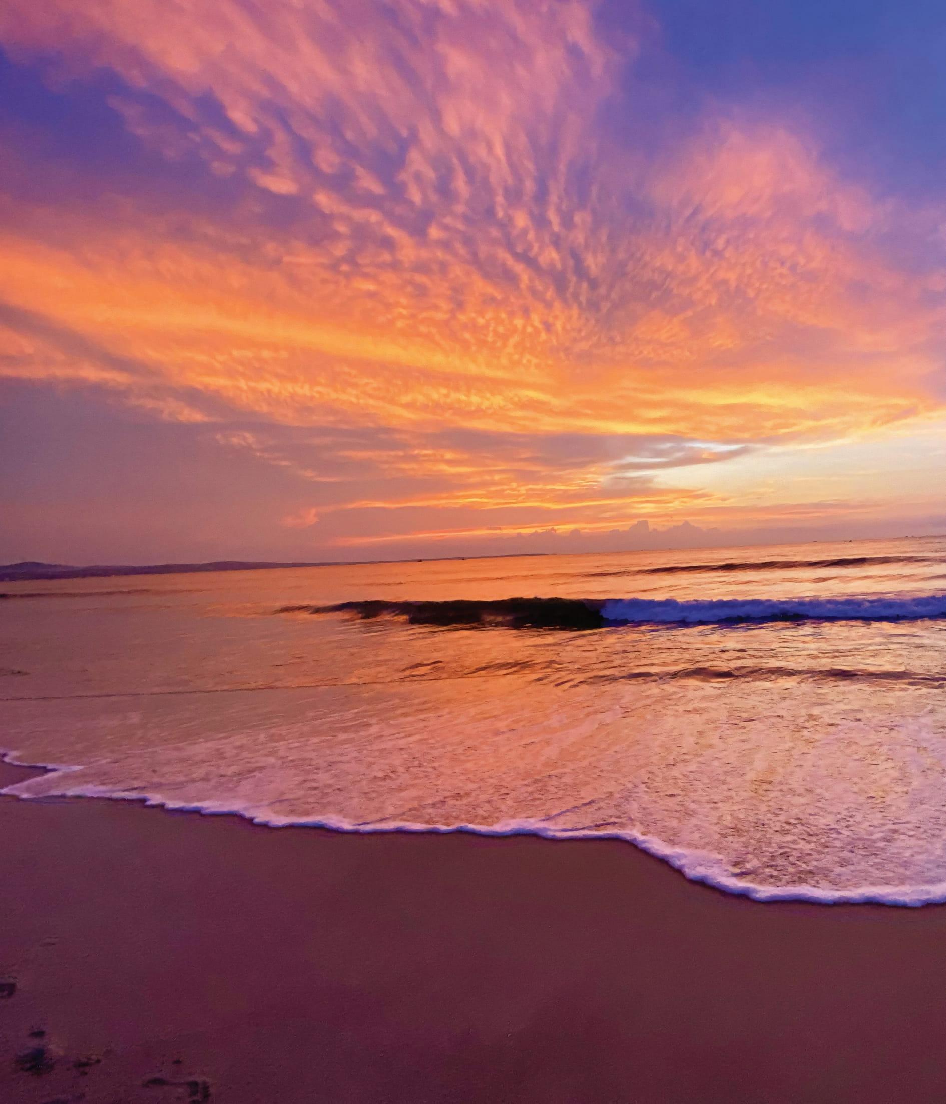 Sách - Nguồn Sống - Bìa Cứng