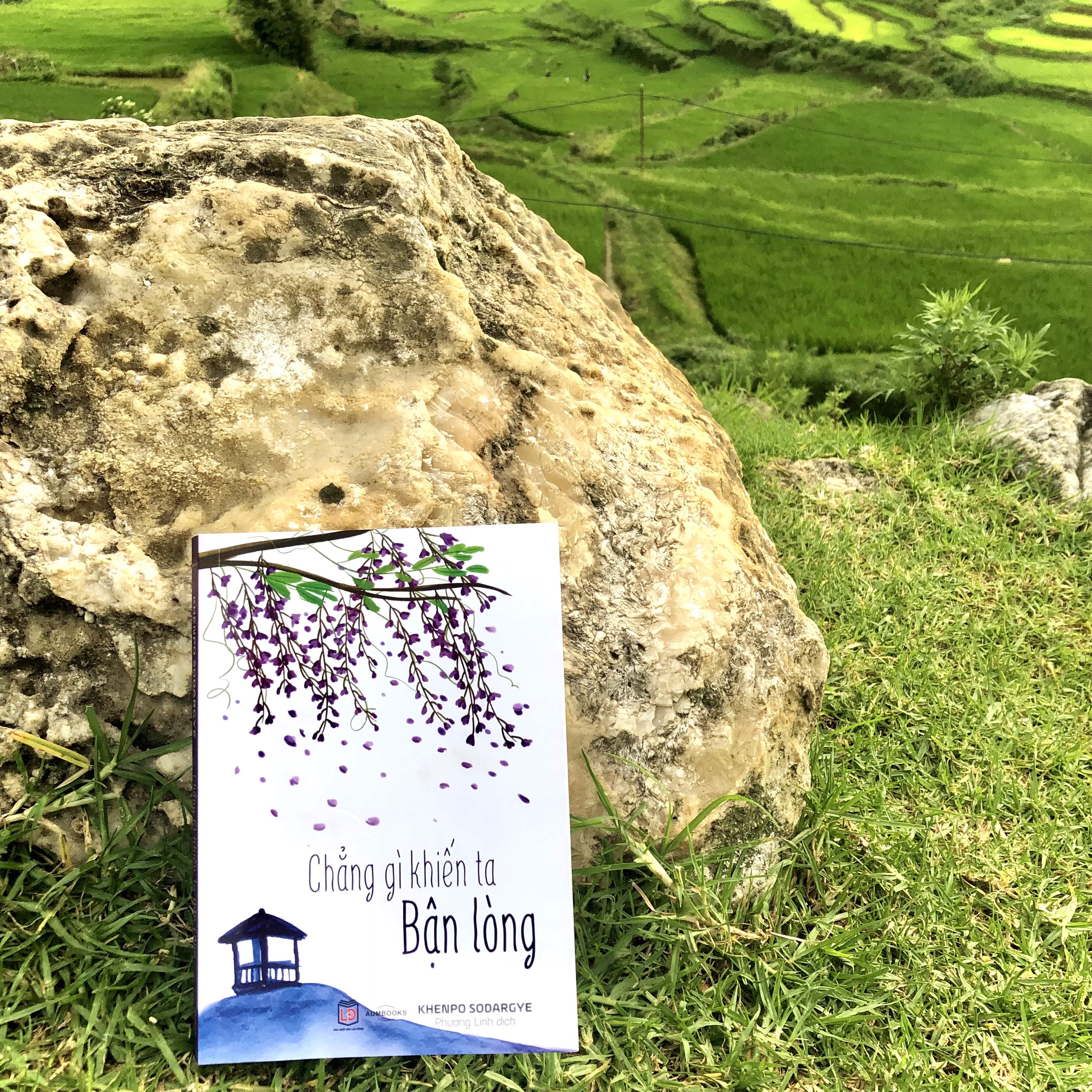 BỘ SÁCH "BẬN" - Sách Tôn Giáo, Nghệ Thuật Và Văn Hóa, Tác Giả KHENPO SODARGYE - Hiệu sách genbooks, bìa mềm, in màu