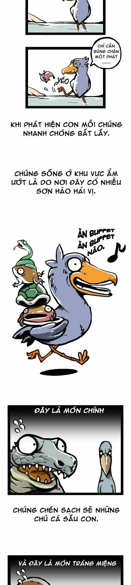 earth, human, and animal chapter 14 13